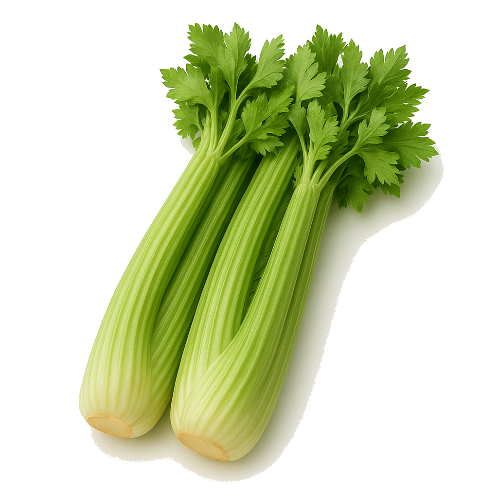 סלרי מהדרין