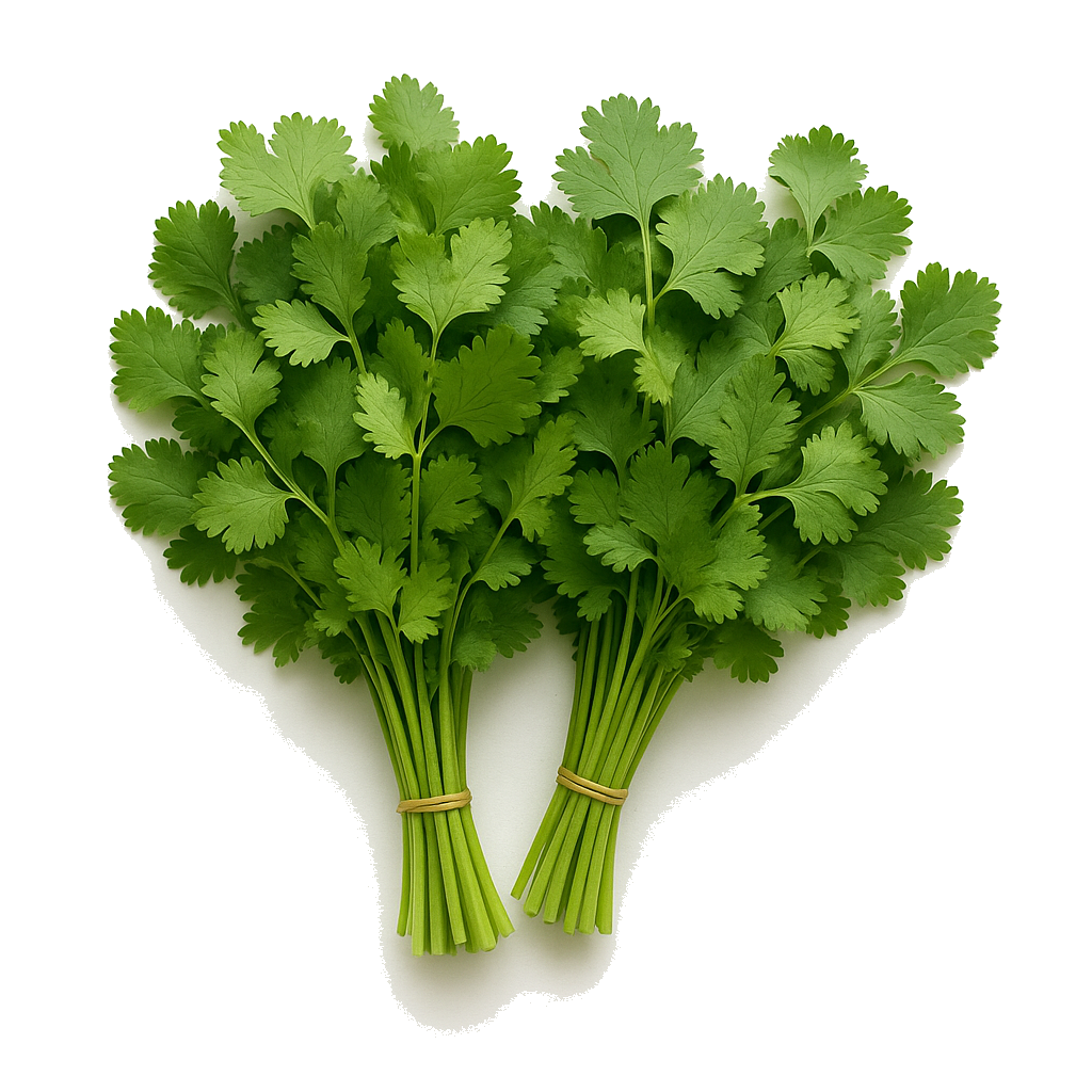 כוסברה מהדרין