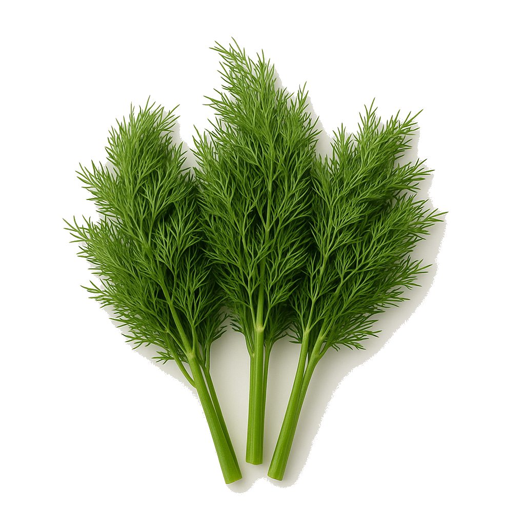 שמיר מהדרין