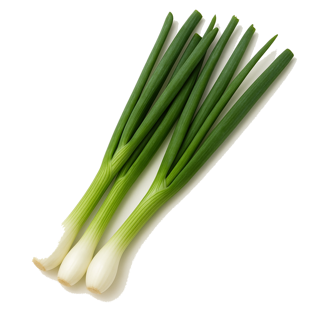 בצל ירוק מהדרין