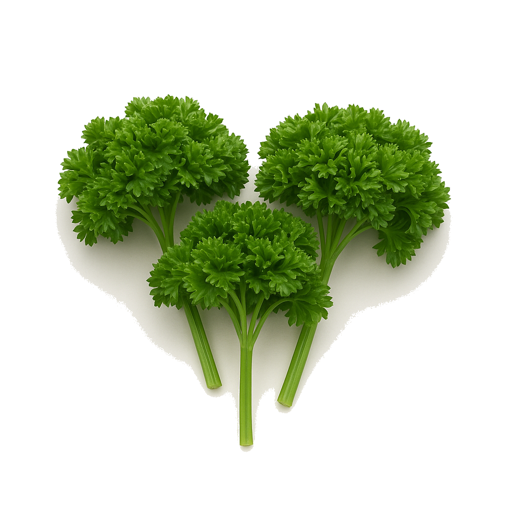 פטרוזיליה מהדרין