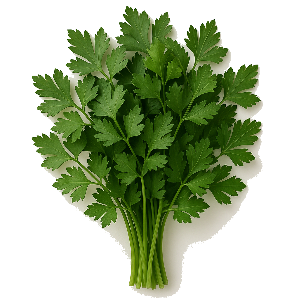 פטרוזיליה מארז