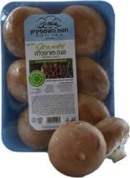 פורטבלה למילוי
