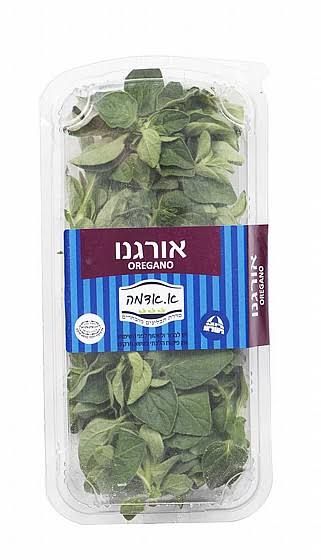 אורגנו