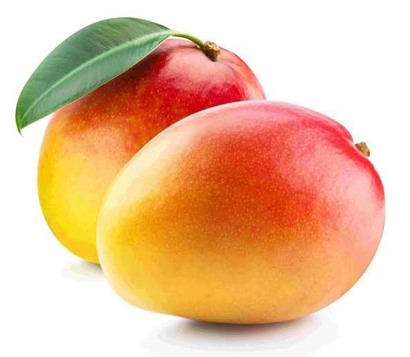 מנגו 