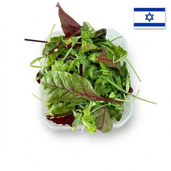 עלי בייבי נספק