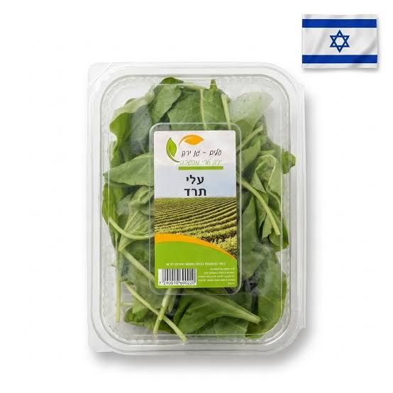 עלי תרד