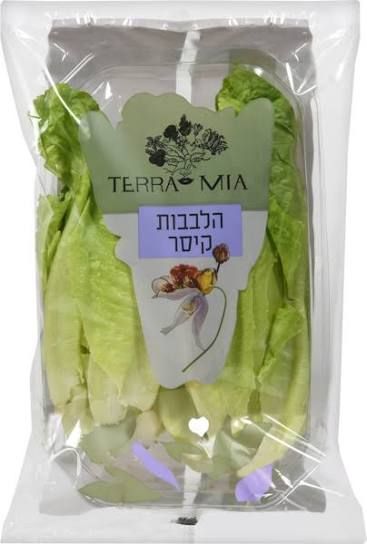 חסה לבבות קיסר