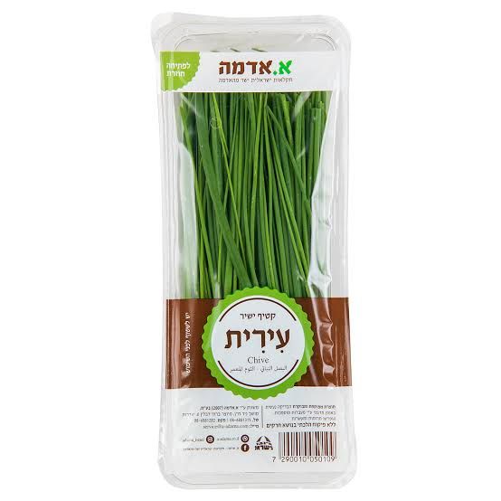 עירית