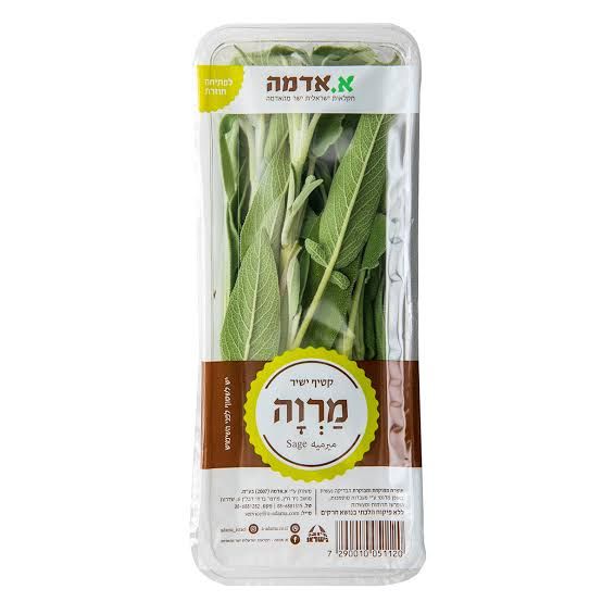 מרווה