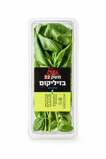 בזיליקום
