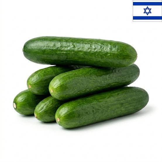 מלפפון