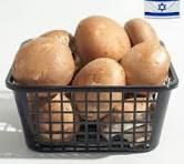 פטריות מיני פורטבלה (אריזה מוגדלת)
