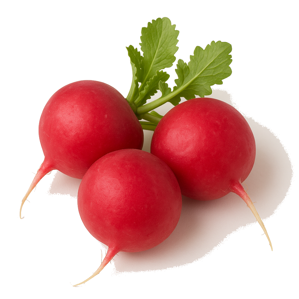 צנון