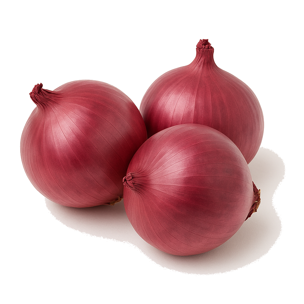 בצל אדום