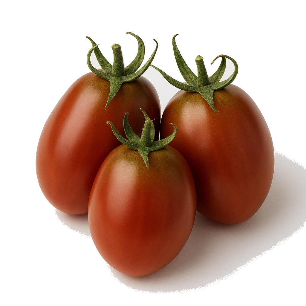 עגבניות תמר