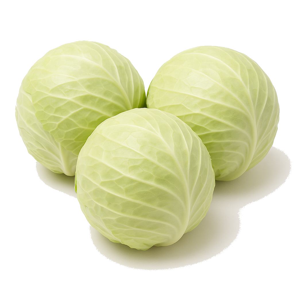 כרוב לבן מהדרין